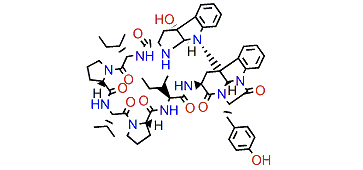 Kapakahine C